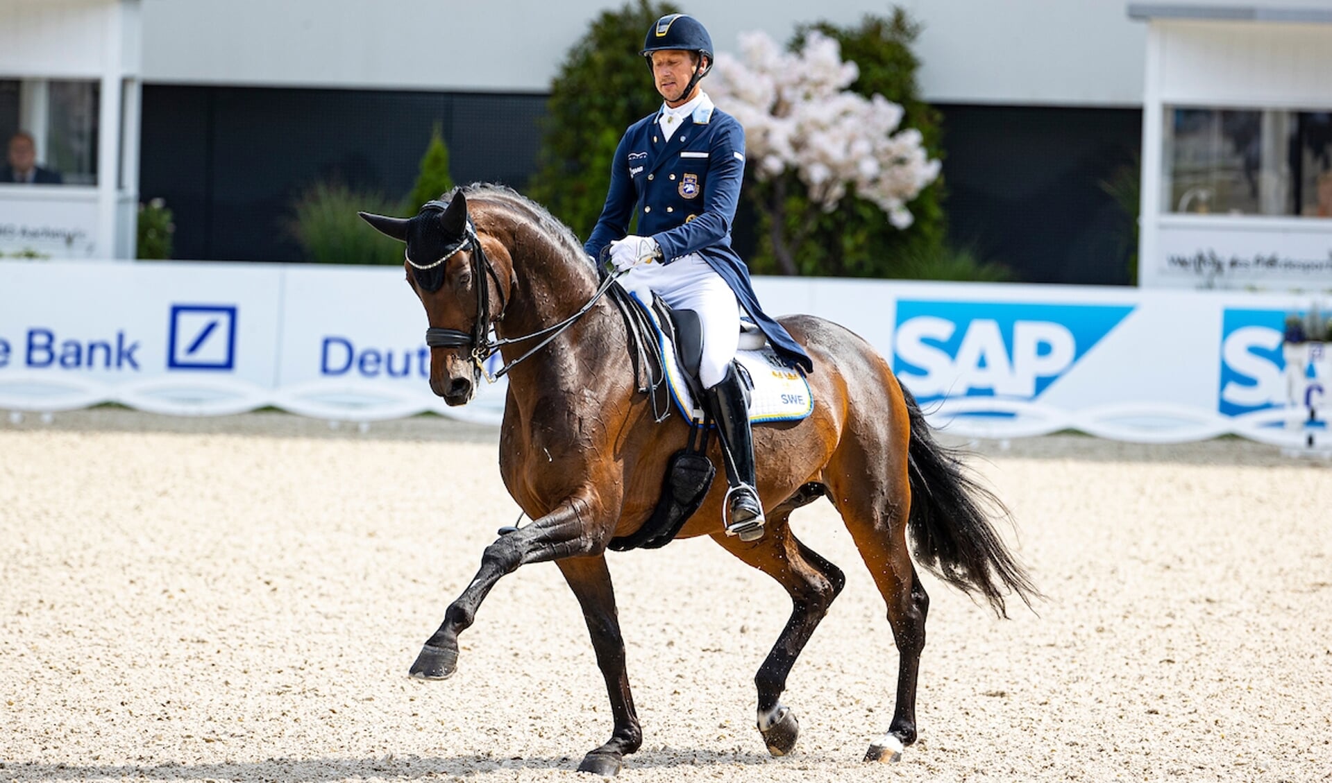 Patrik Kittel - Fiontini
World Equestrian Festival CHIO Aachen 2021
© DigiShots