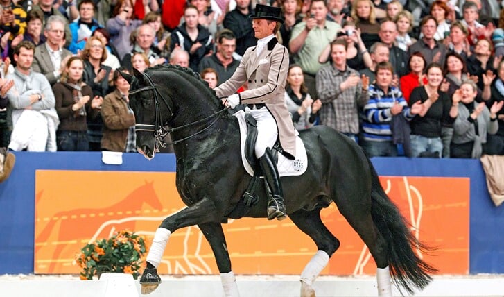 Edward Gal - Gribaldi
KWPN Hengstenkeuring 2010
© DigiShots