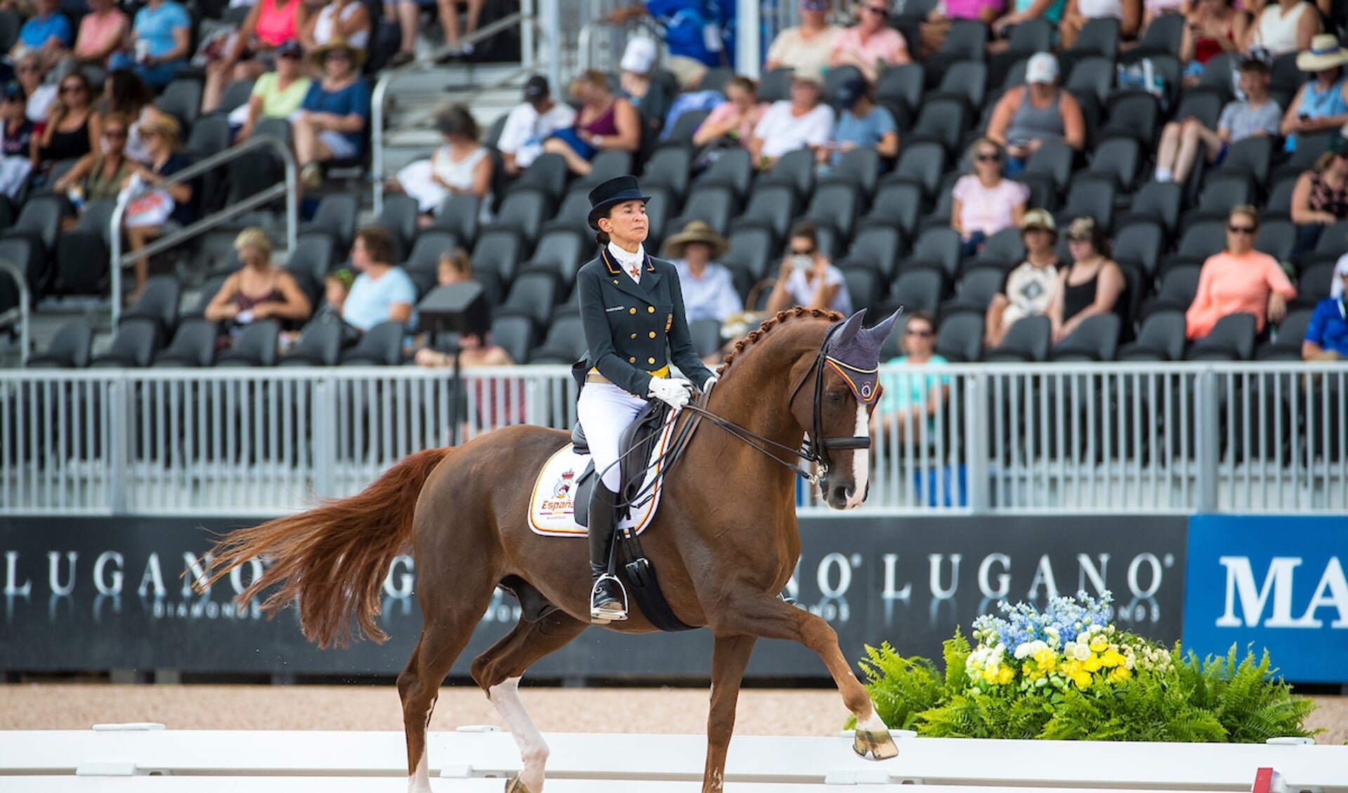 Beatriz Ferrer Salat - Delgado
FEI World Equestrian Games Tryon 2018
© DigiShots