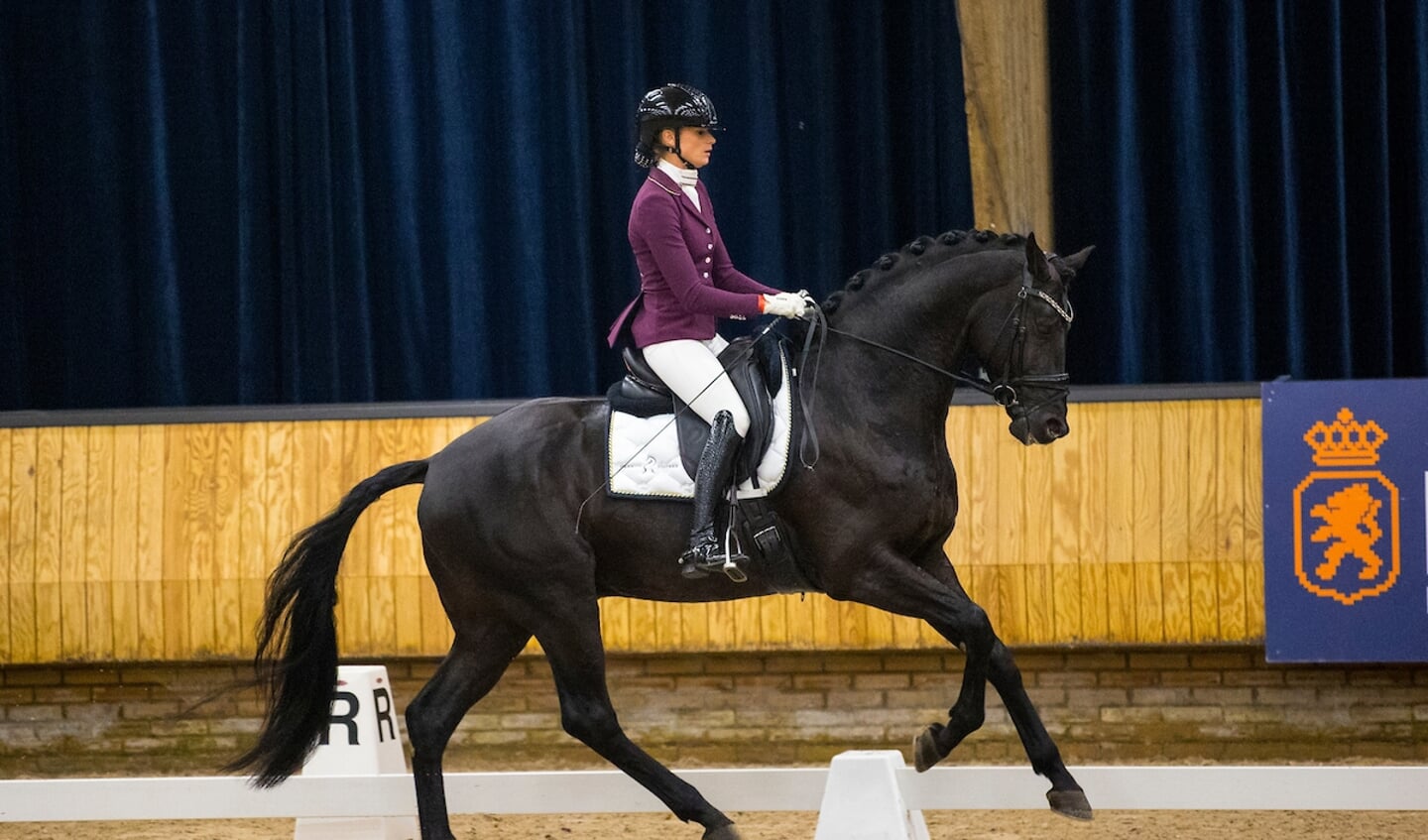 Dinja van Liere - Mauro Turfhorst
KWPN Hengstencompetitie Ermelo 2021
© DigiShots