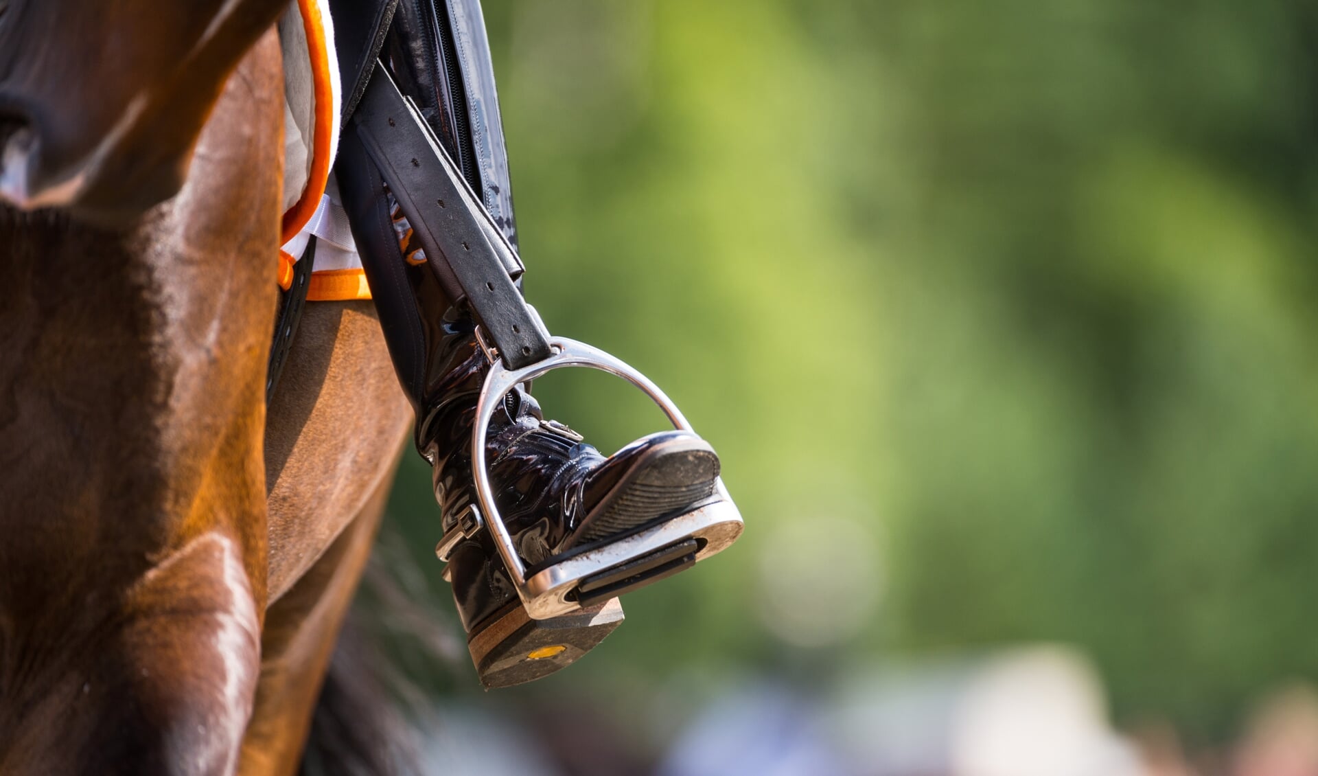 hoek Het eens zijn met Uitgebreid Wielrenners gevallen door geschrokken paard | Het onafhankelijke paarden (sport)medium