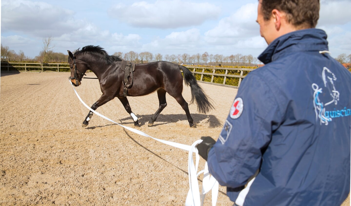 Longeren met Bastiaan de Recht