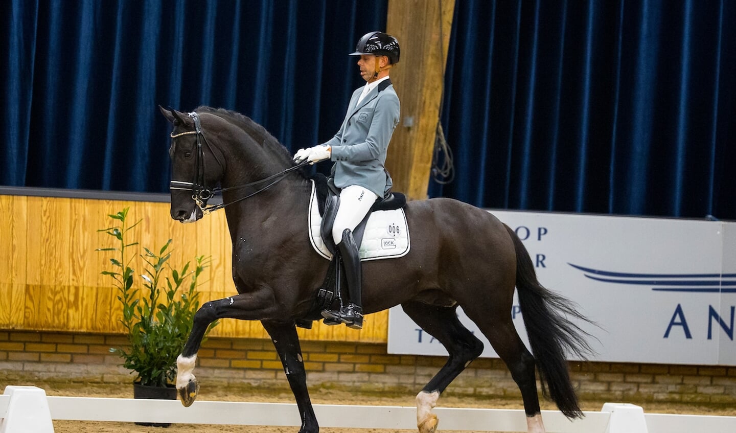 Hans Peter Minderhoud - GLOCK’s Taminiau
KWPN Hengstencompetitie Ermelo 2021
© DigiShots