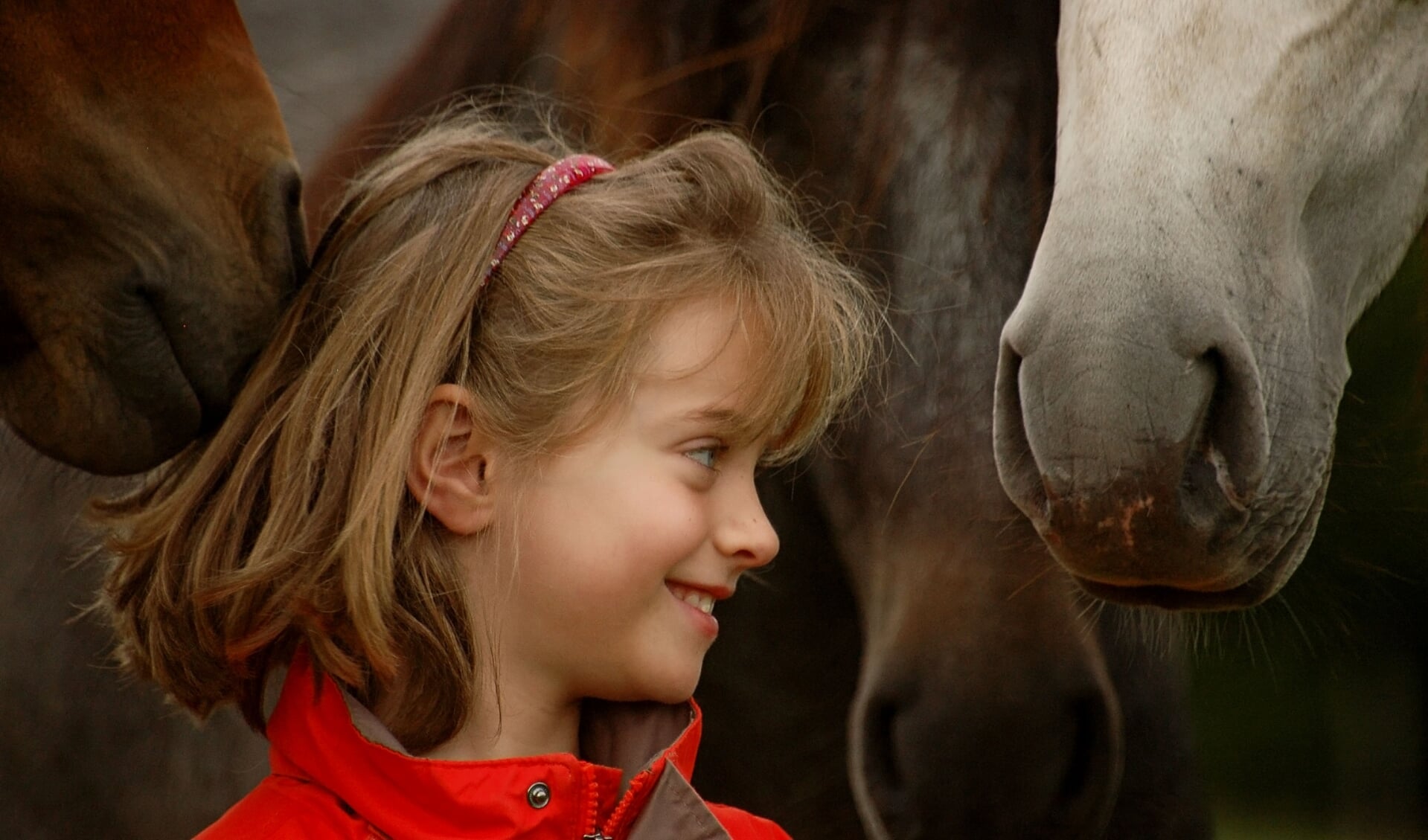 Negen waarom het goed is als je kind | Het onafhankelijke paarden(sport)medium