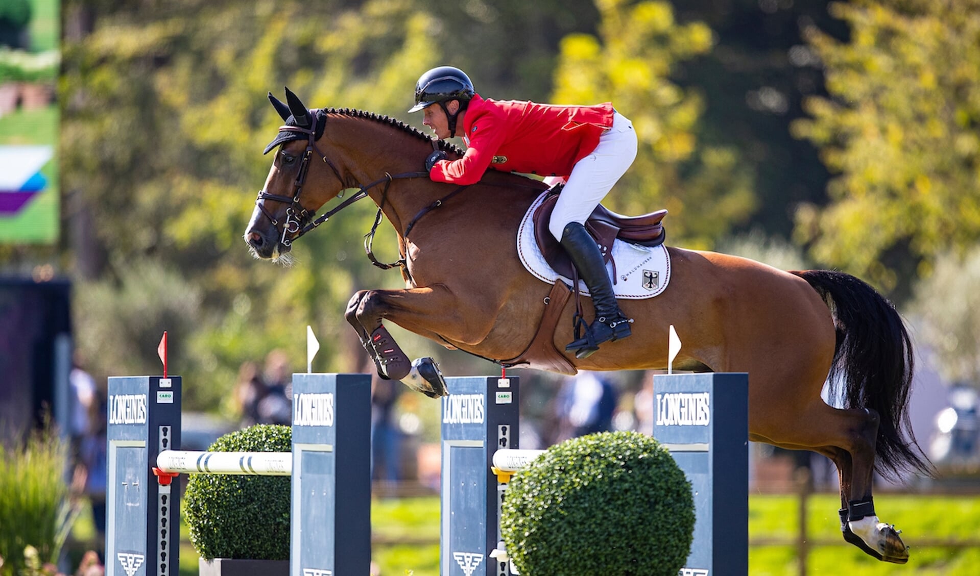 David Will - C Vier
Longines FEI Jumping European Championships 2021
© DigiShots