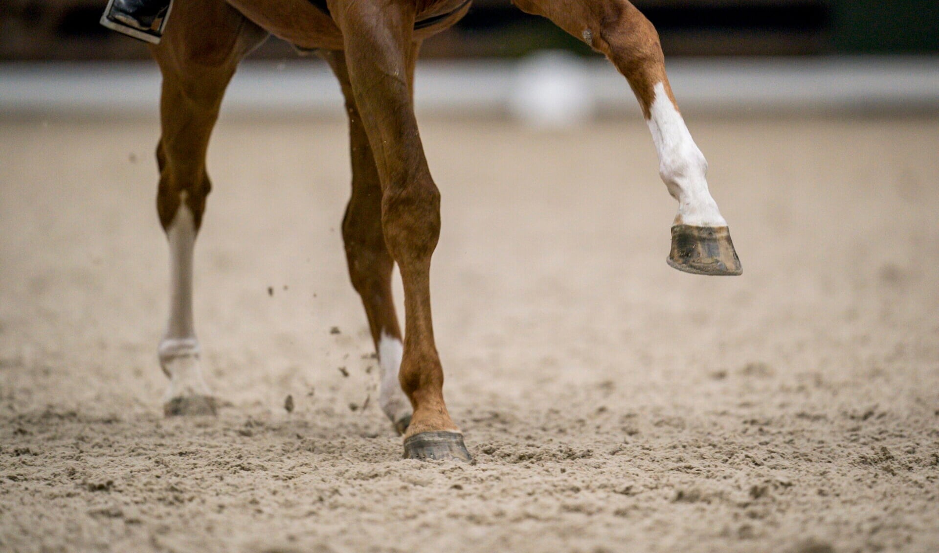 benen in galop