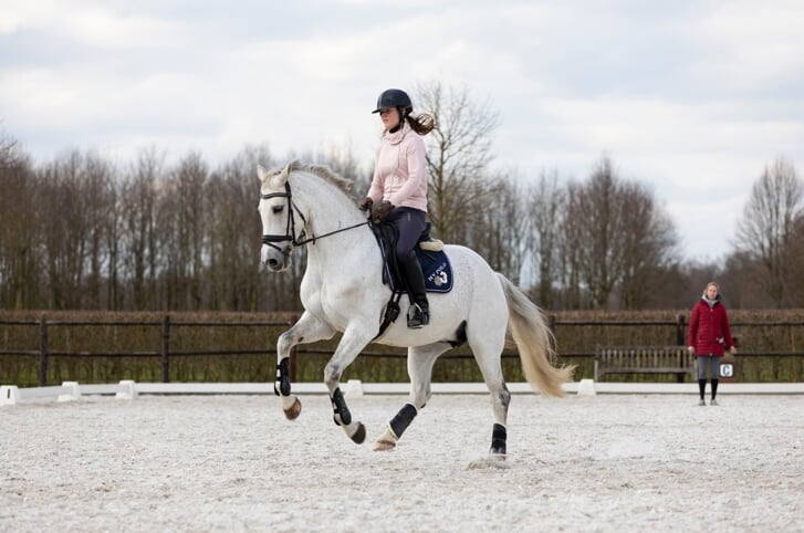 Schimmel, Zerenia, Nicoline Speet, wissel, instructie, les, Imke Schellekens-Bartels