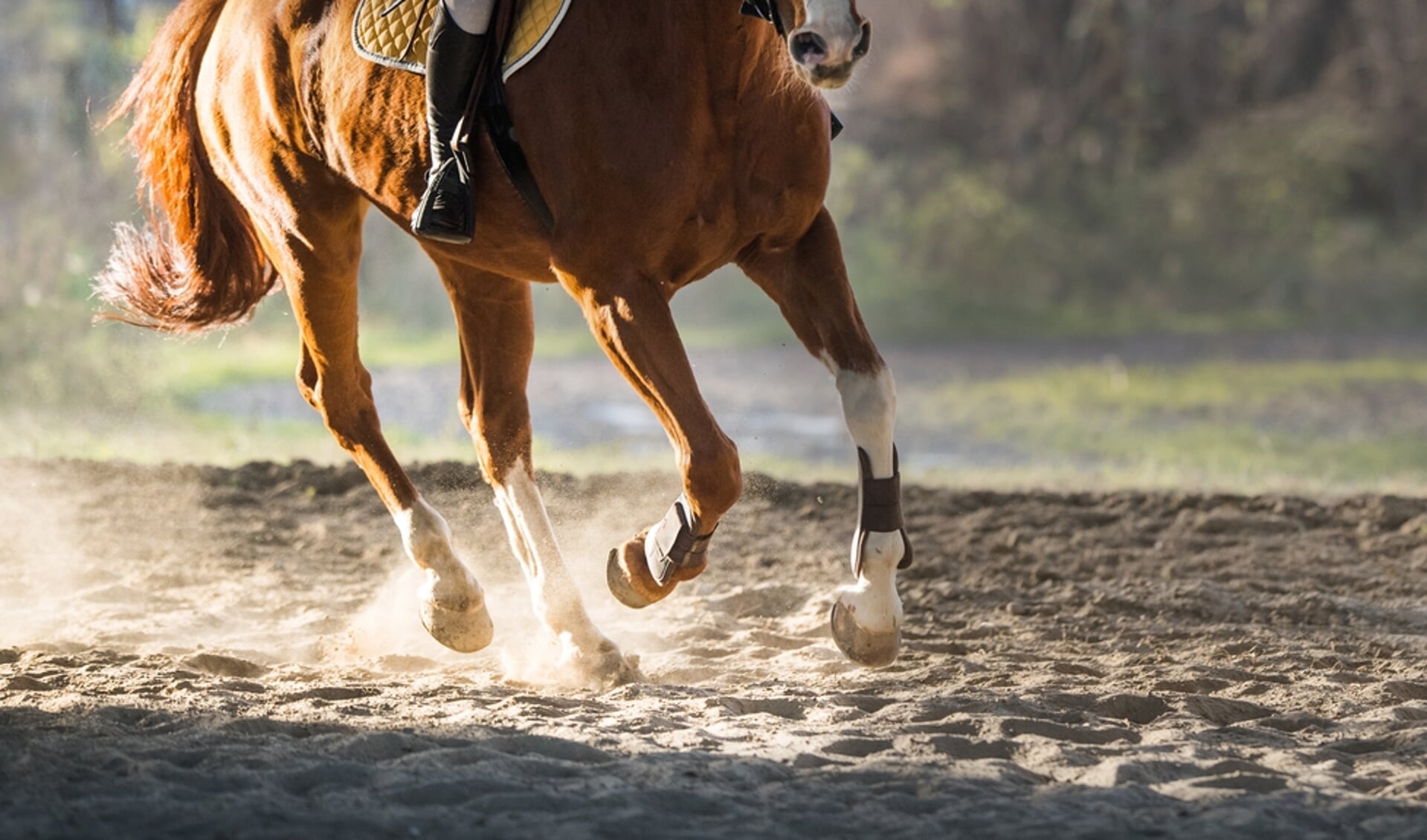 In galop, genieten ... of niet?