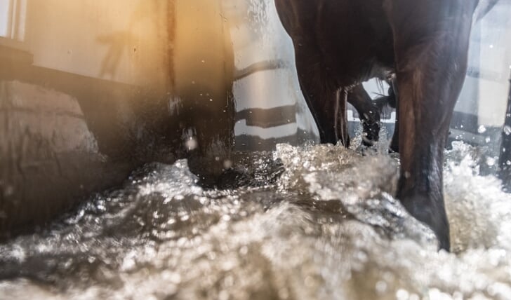 De Aquatrainer bij Lelymare Horses. Foto: Privebezit Fenna ElzingaDe Vitafloor stalunit bij Lelymare Horses.Jonge paarden in de opfok.