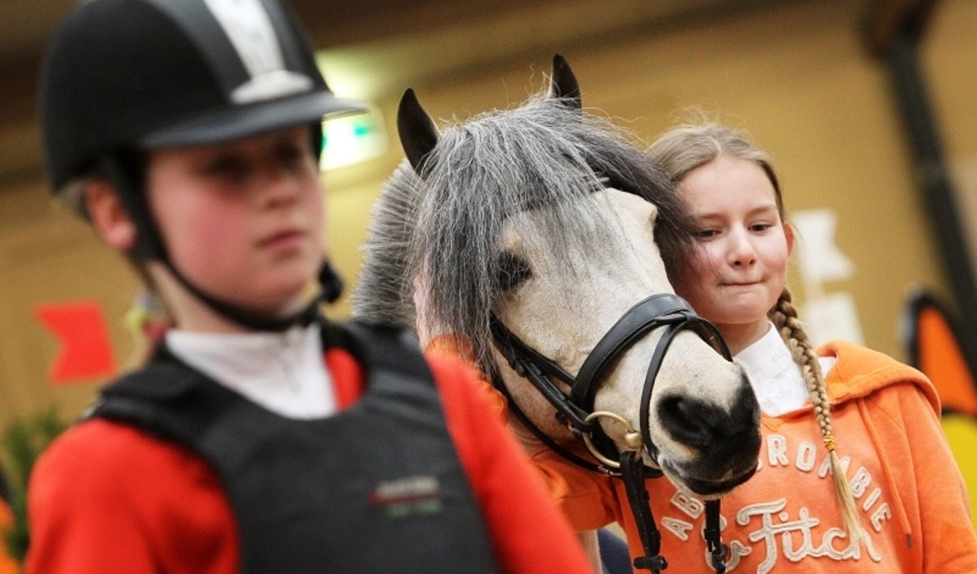 Top 10 2022: 8 Paardenmeisjes laten zich niet kisten - Het onafhankelijke  paarden(sport)medium