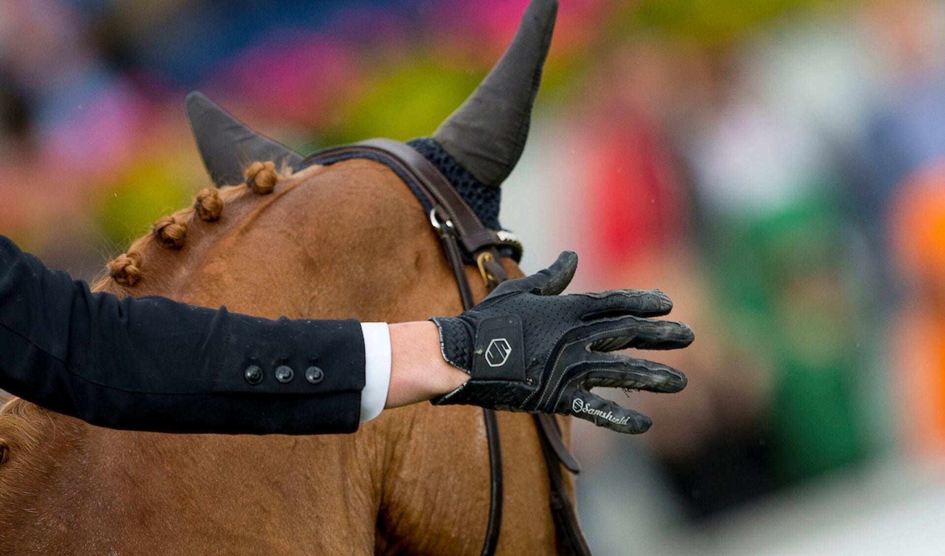 David Will - Mic Mac du Tillard
World Equestrian Festival, CHIO Aachen 2015
© DigiShots