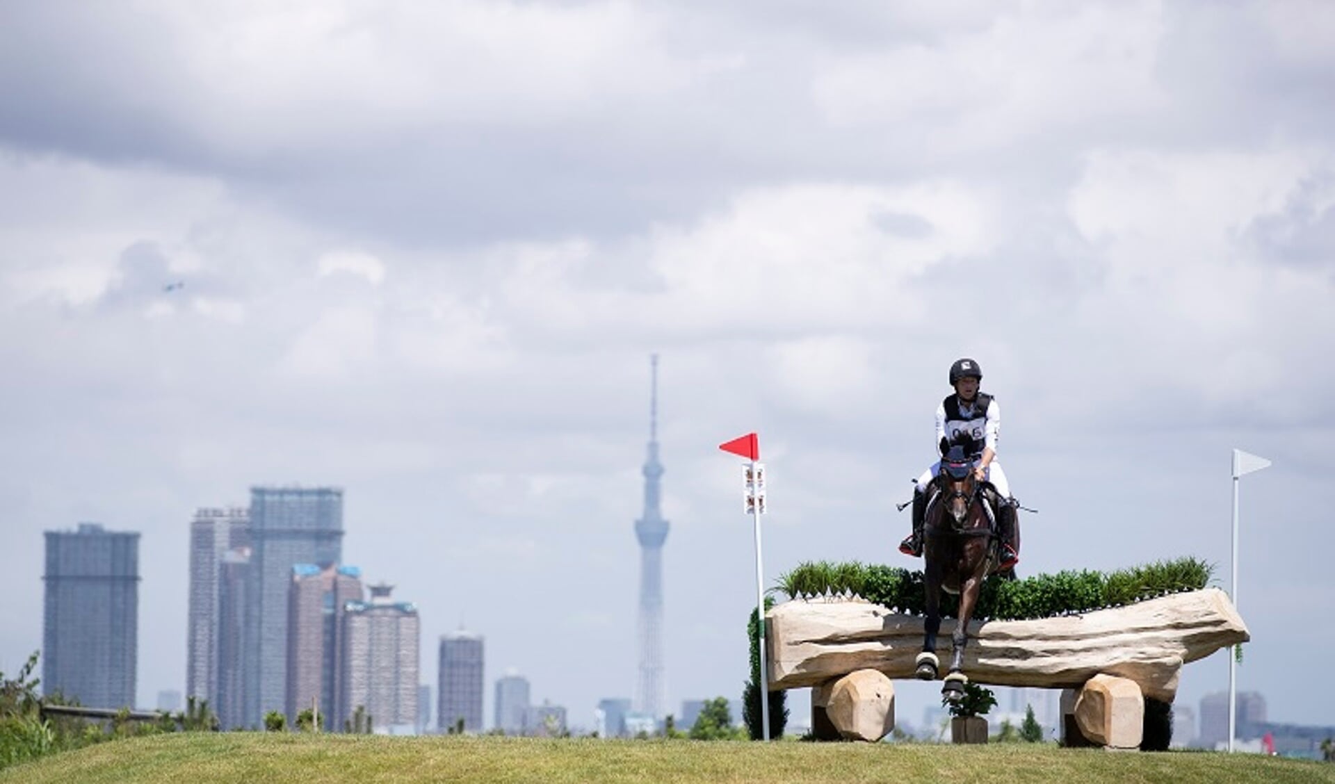 TOKYO, JAPAN - AUGUST 13 : Jung Michael & FISCHERWILD WAVE of GER in the Cross Country  NO.17-A during the READY SRADY TOKYO Equestrian test event 
 at the Sea forest Park on August 13, 2019 in Tokyo, Japan. (Photo by Yusuke Nakanishi)