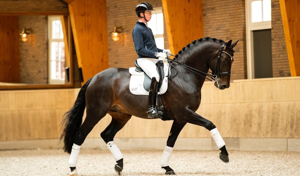 Robin van Lierop - Zum Gluck RS2Robin van Lierop - Zum Gluck RS2
FEI World Championships Young Dressage Horses 2019
© DigiShots