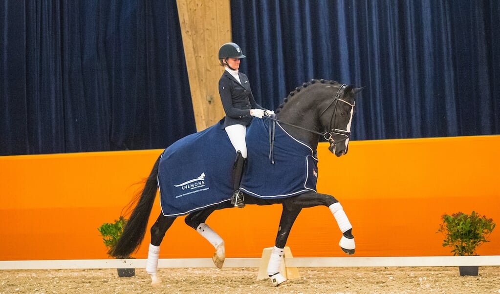 Marieke van der Putten - Jameson RS2
Anemone Horse Trucks Hengstencompetitie Dressuur 2019/2020
© DigiShots