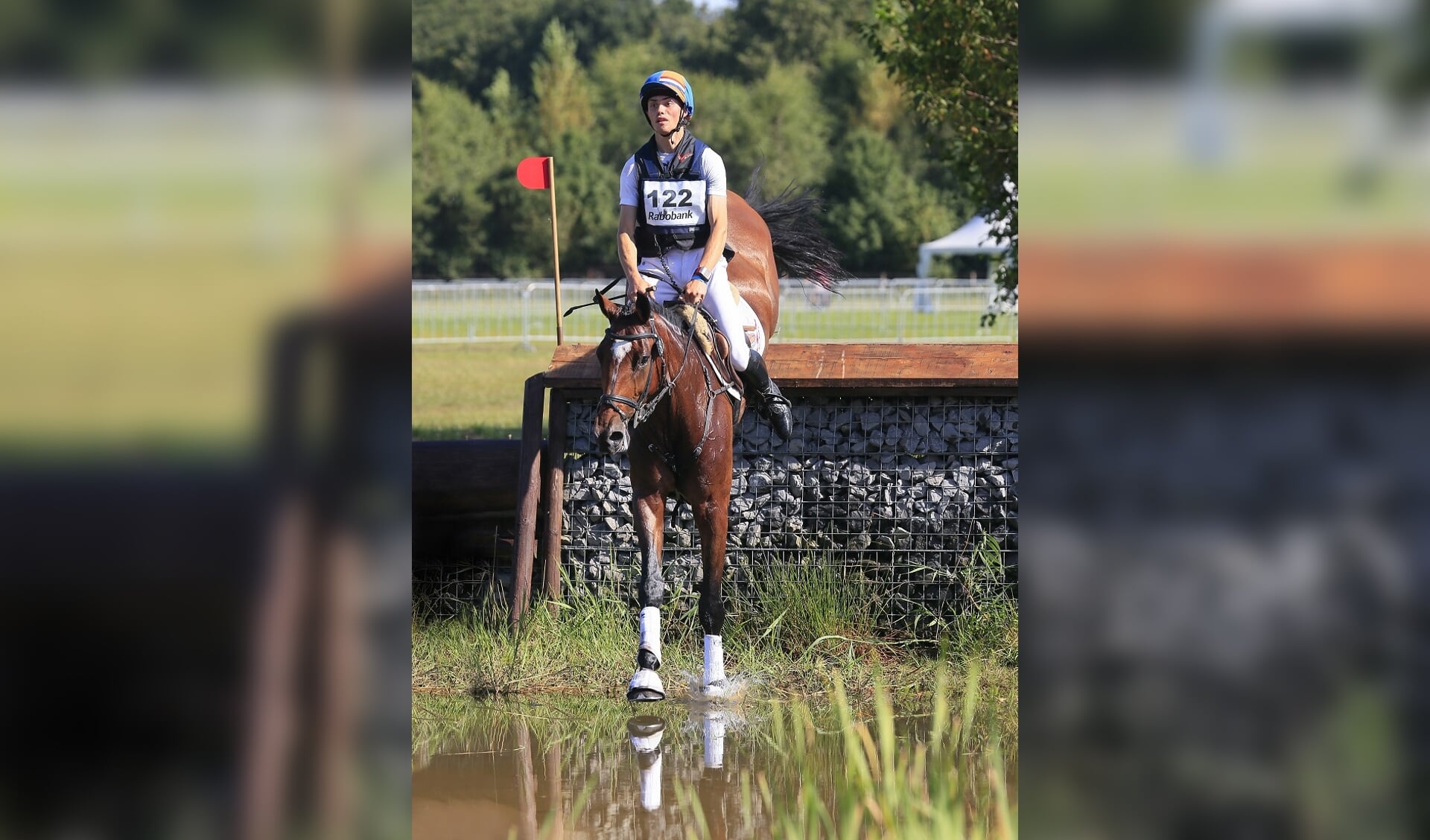Machtig Willen Kliniek Goedkoop geslaagd: Zamira | Het onafhankelijke paarden(sport)medium