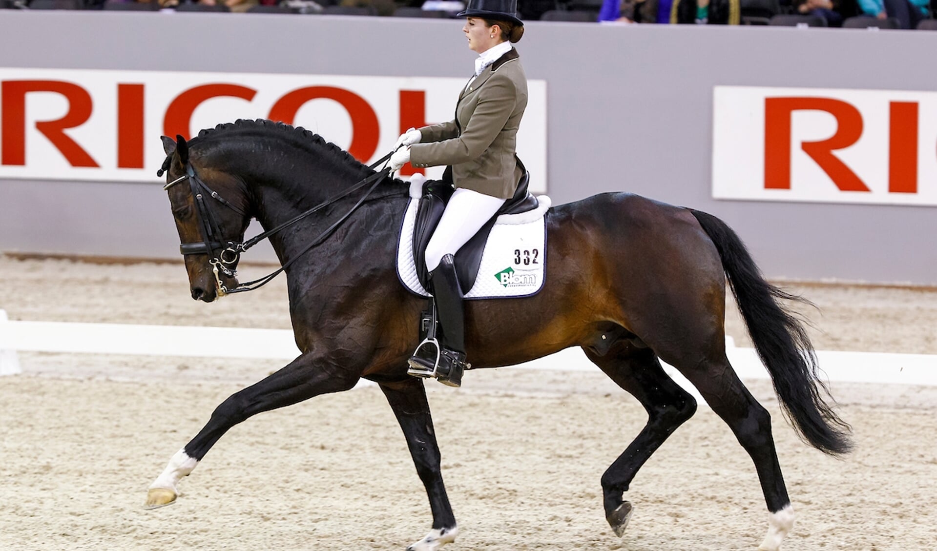 Emmelie Scholtens - Westenwind
Indoor Brabant 2010
© DigiShots