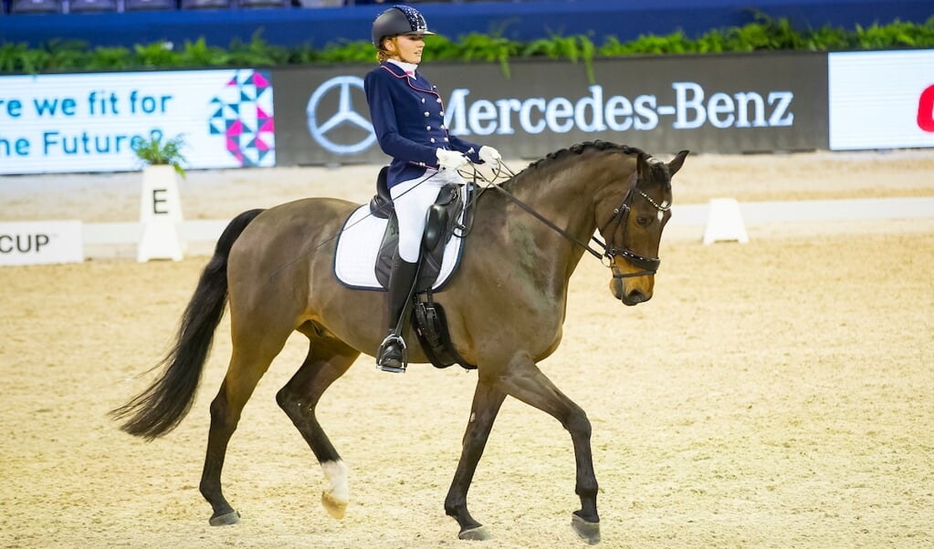 Maud de Reu - Webron
Jumping Amsterdam 2019
© DigiShots