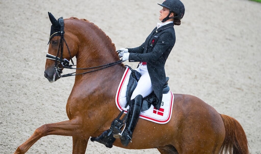 Cathrine Dufour - Atterupgaards Cassidy
FEI European Championships 2019
© DigiShots