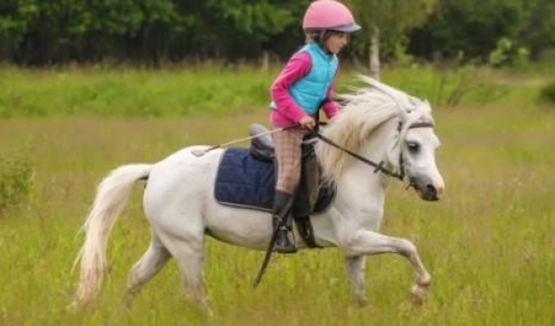 Elementair moeder Expertise Paardrijden goed voor kinderen? Jazeker! | Het onafhankelijke  paarden(sport)medium
