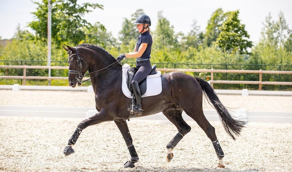 Femke de Laat - Hashtag
2e WK Selectie Jonge Dressuurpaarden 2019
© DigiShots