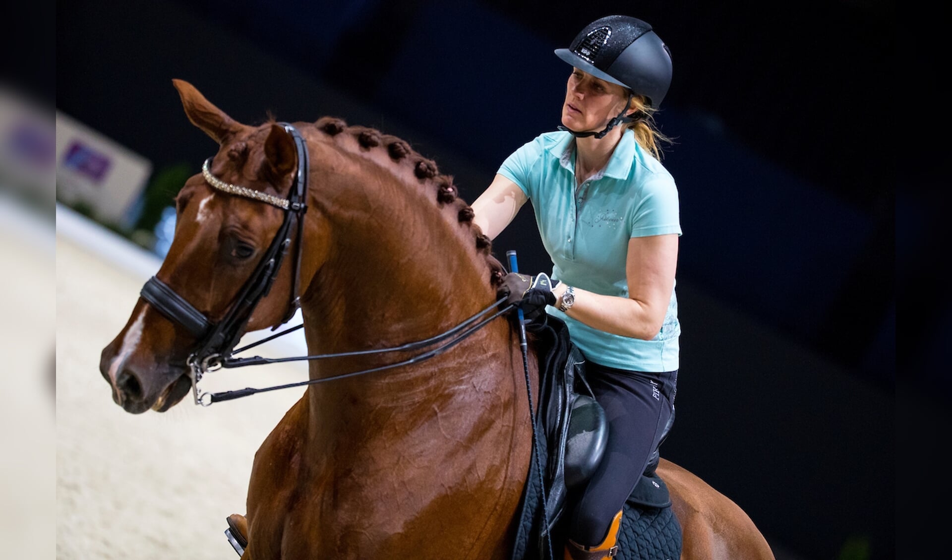 Madeleine Witte Vrees - Cennin
FEI Longines FEI World Cup Paris 2018
© DigiShotsEdward Gal - Glock's Zonik N.O.P.
FEI Longines FEI World Cup Paris 2018
© DigiShotsPatrick van der Meer - Zippo
FEI Longines FEI World Cup Paris 2018
© DigiShotsPatrick van der Meer - Zippo
FEI Longines FEI World Cup Paris 2018
© DigiShotsJessica von Bredow Werndl met Unee BB: even ontspannenBondstrainer Monica Theodorescu met kritische blikDit duo versloeg Isabell Werth al eens; kan Laura Graves met Verdades voor een verrassing zorgen?© DigiShots