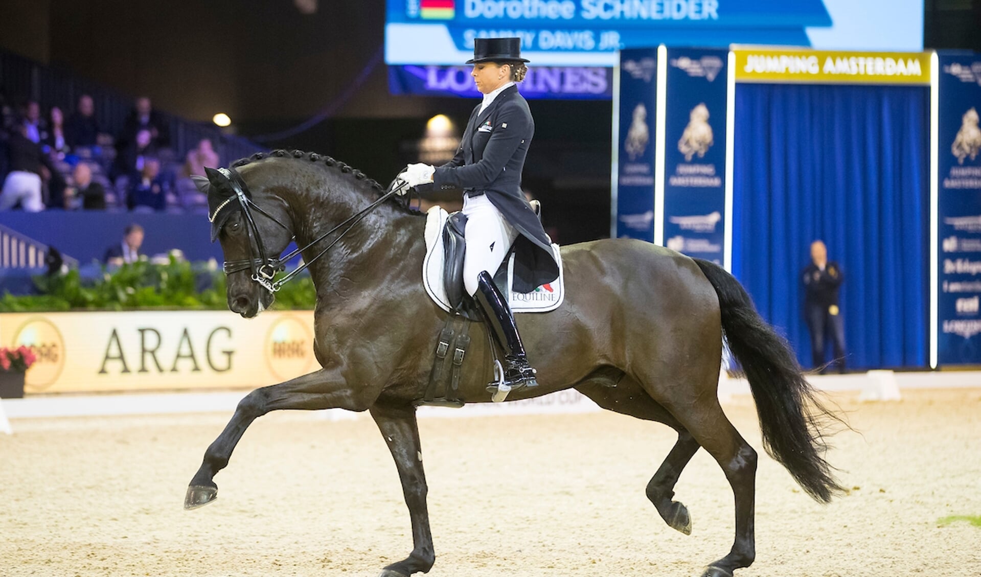 Dorothee Schneider - Sammy Davis Jr
Jumping Amsterdam 2019
© DigiShots