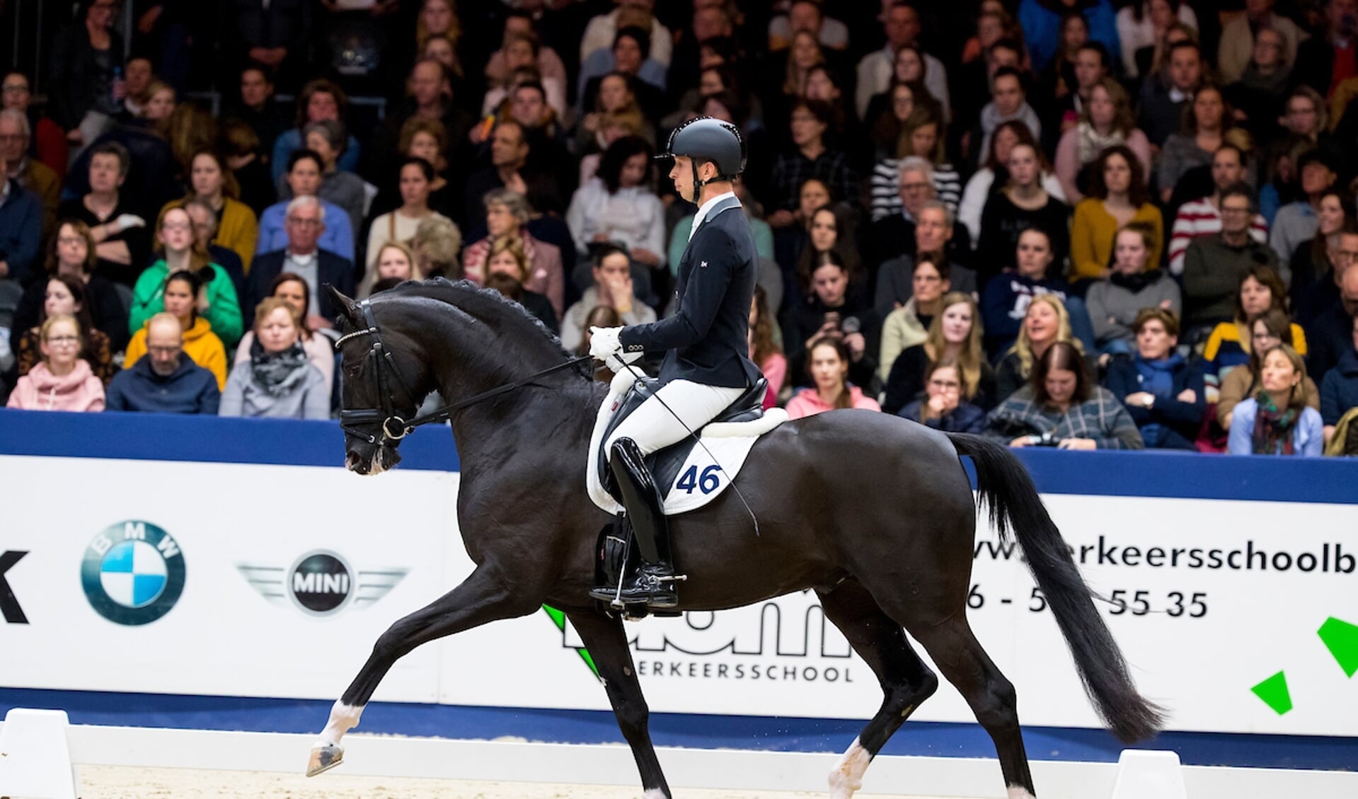 Kwpn-Hengst Kilian Overleden Op 6-Jarige Leeftijd | Het Onafhankelijke Paarden(Sport)Medium