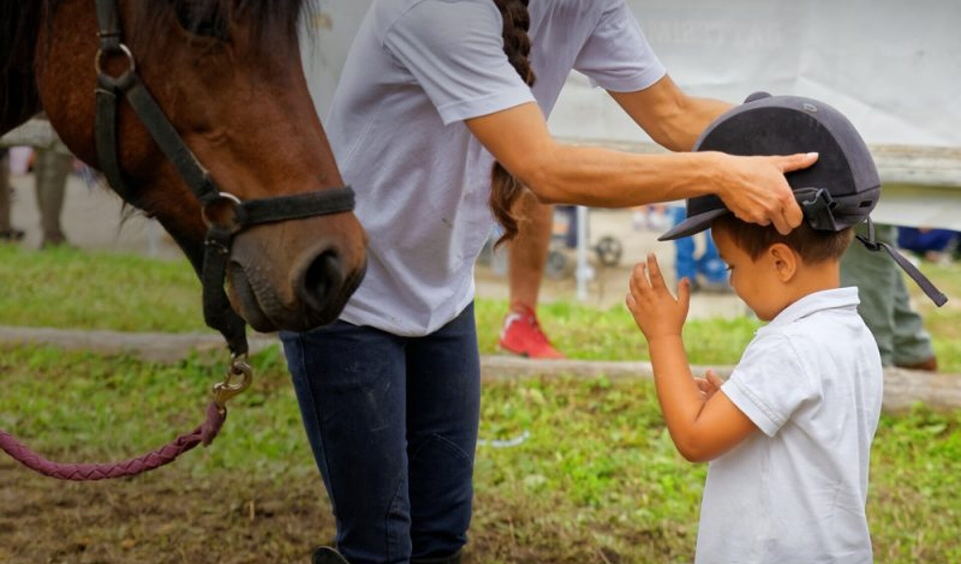 in omgang paard of pony: kinderen altijd een cap! | Het onafhankelijke paarden(sport)medium