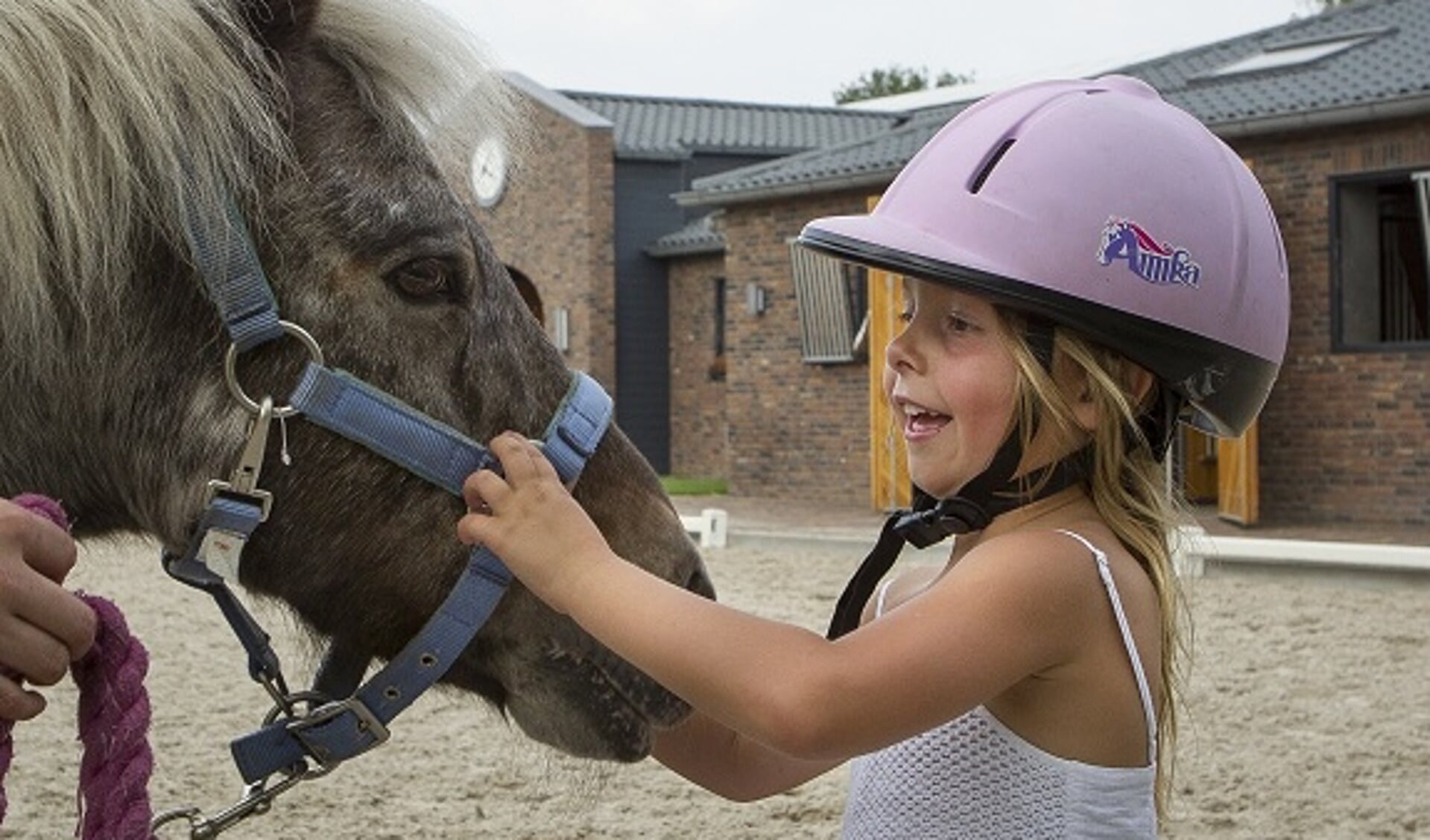 Zenuwinzinking verontschuldigen gevangenis Paardrijkleding schrikt jongens af | Het onafhankelijke paarden(sport)medium