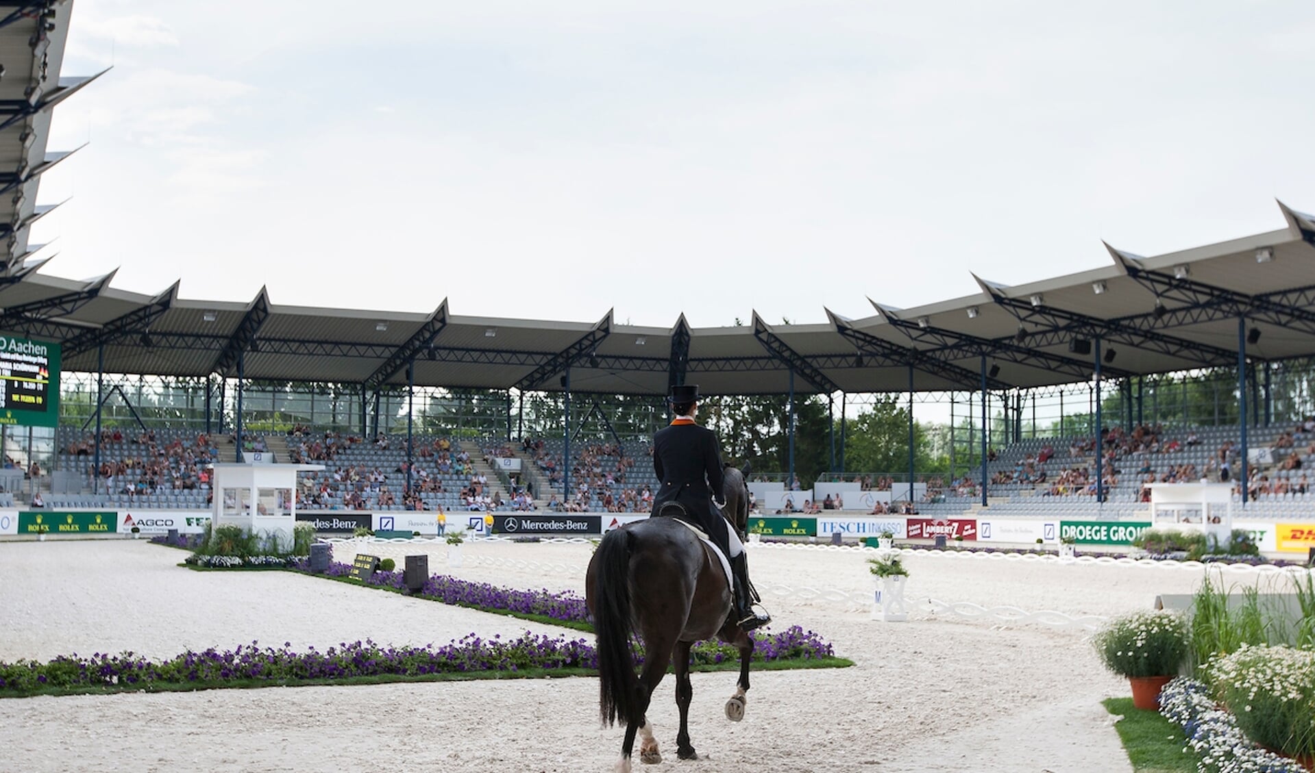 Danielle van Mierlo - Ucento
World Equestrian Festival, CHIO Aachen 2014
© DigiShots