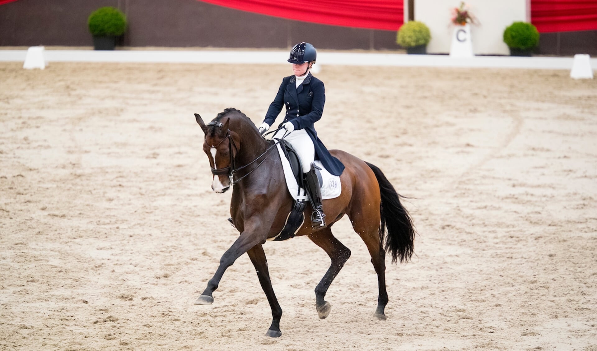 Charlotte Kruiniger - President's Majestic Uzzo
It's All Dressage 2016
© DigiShots