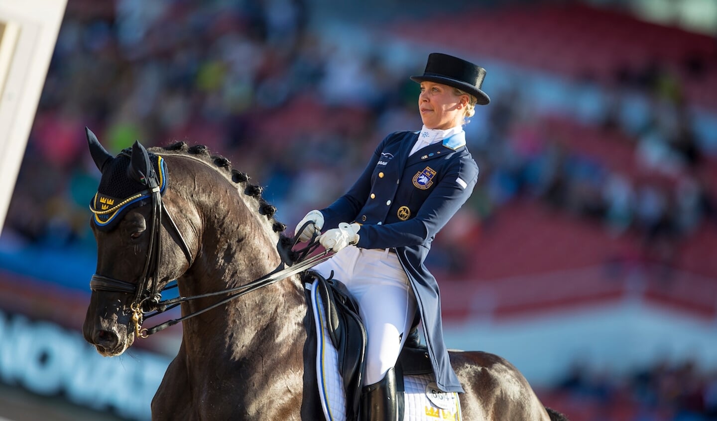 Sönke Rothenberger en Cosmo op het EK in Gotenburg (foto: DigiShots)Spencer Wilton - Super Nova II
FEI European Championships Gothenburg 2017
© DigiShotsTherese Nilshagen - Dante Welting OLD
FEI European Championships Gothenburg 2017
© DigiShotsEdward Gal - Glock's Voice
FEI European Championships Gothenburg 2017
© DigiShotsEdward Gal - Glock's Voice
FEI European Championships Gothenburg 2017
© DigiShots