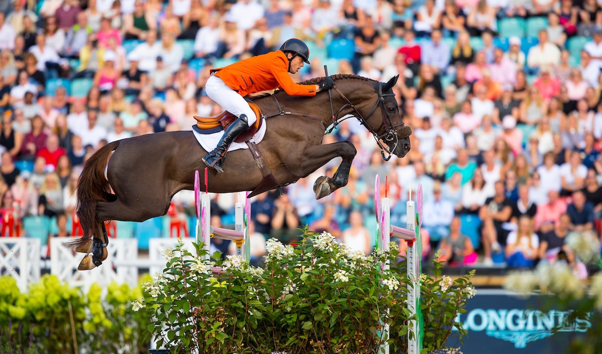 Harrie Smolders - Don VHP Z
FEI European Championships Gothenburg 2017
© DigiShots