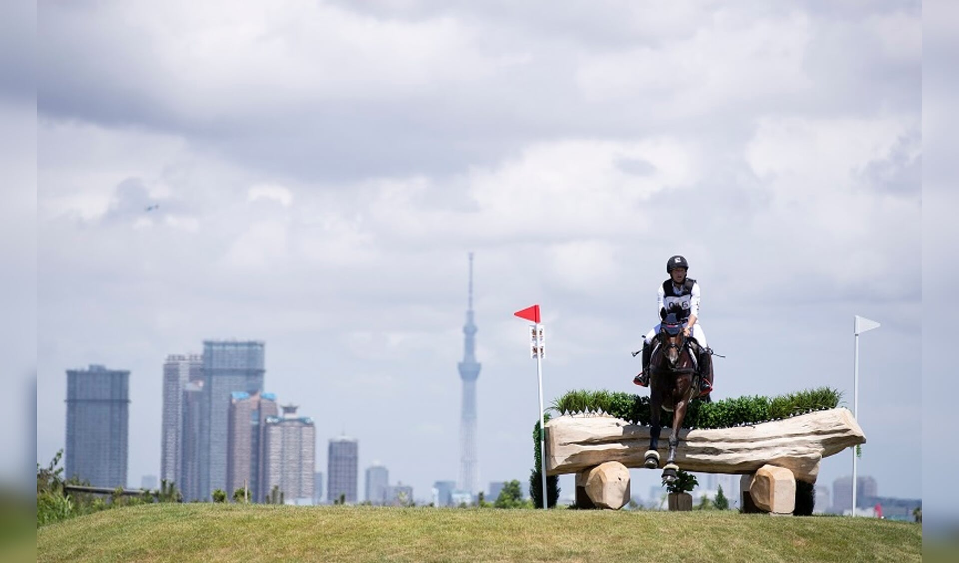 TOKYO, JAPAN - AUGUST 13 : Jung Michael & FISCHERWILD WAVE of GER in the Cross Country  NO.17-A during the READY SRADY TOKYO Equestrian test event 
 at the Sea forest Park on August 13, 2019 in Tokyo, Japan. (Photo by Yusuke Nakanishi)