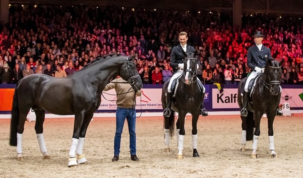 Vier dagen lang genieten van het beste van de Nederlandse fokkerij, fantastische shows en sportieve strijd op de KWPN Stallion Show!

© Hippo Foto - Dirk Caremans
02/02/2019Hippo Foto - Sharon Vandeput
Vorig jaar nam hij afscheid van de sport, dit jaar wordt hij geheel terecht gehuldigd als Horse of the Year 2019! © Hippo Foto - Dirk CaremansVan wereldkampioen naar Grand Prix. Charlotte Fry en Glamourdale laten zien hoe ver zij zijn in hun Road to Grand Prix! © Hippo Foto - Dirk CaremansVeeze Bart, NED, Gaat het Bart Veeze lukken om de derde titel in de Anemone Horse Trucks Hengstencompetitie in de wacht te slepen? © Hippo Foto - Dirk Caremans