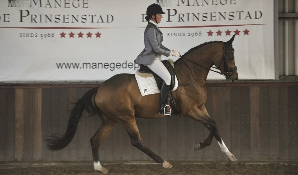 Diva als jong paard op wedstrijd