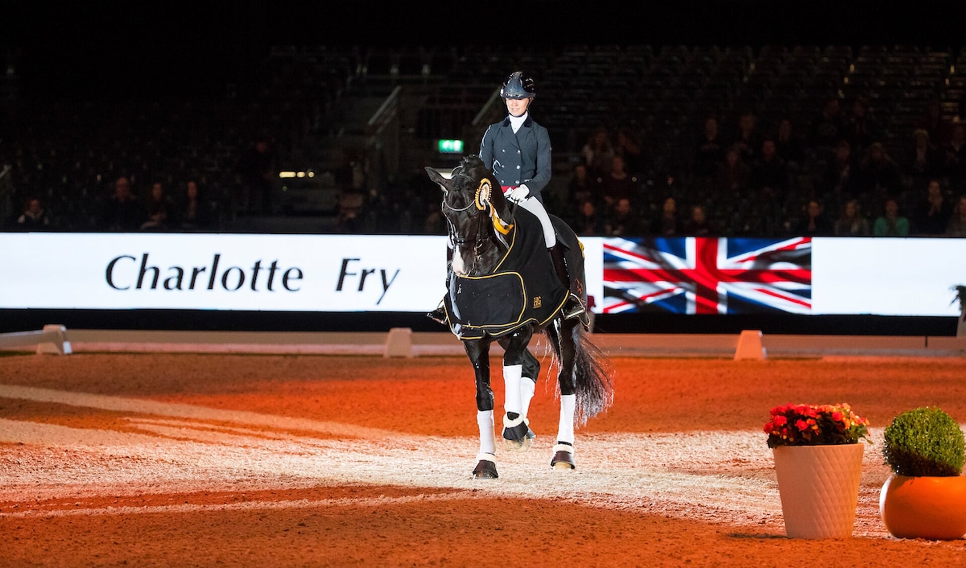 Charlotte Fry - Everdale
The Dutch Masters - Indoor Brabant 2019
© DigiShots