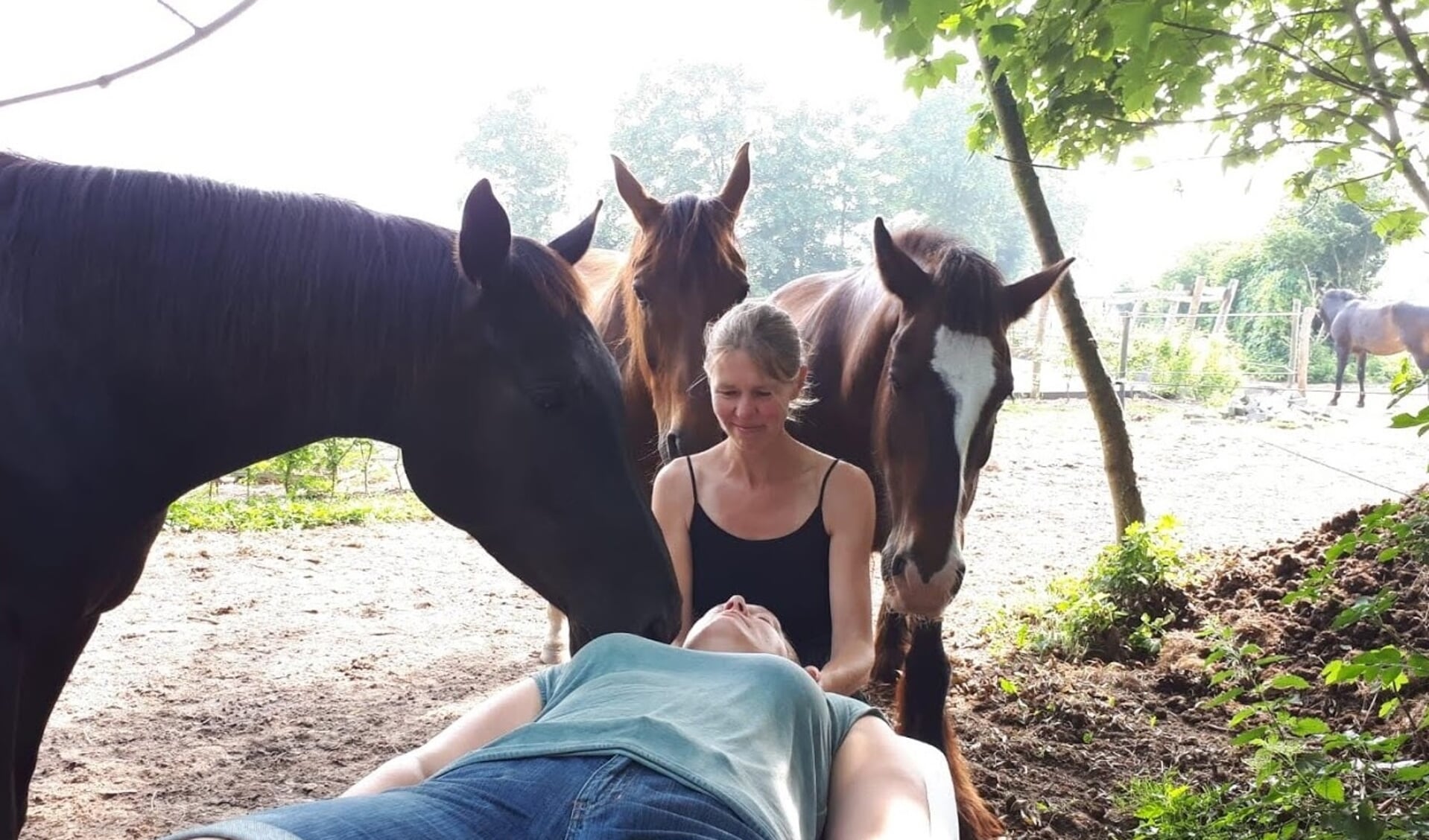Chantal geeft op deze foto een Access Bars behandeling tussen de paarden. Dit is één van de verschillende methodes die ze gebruikt om ruiters te helpen.