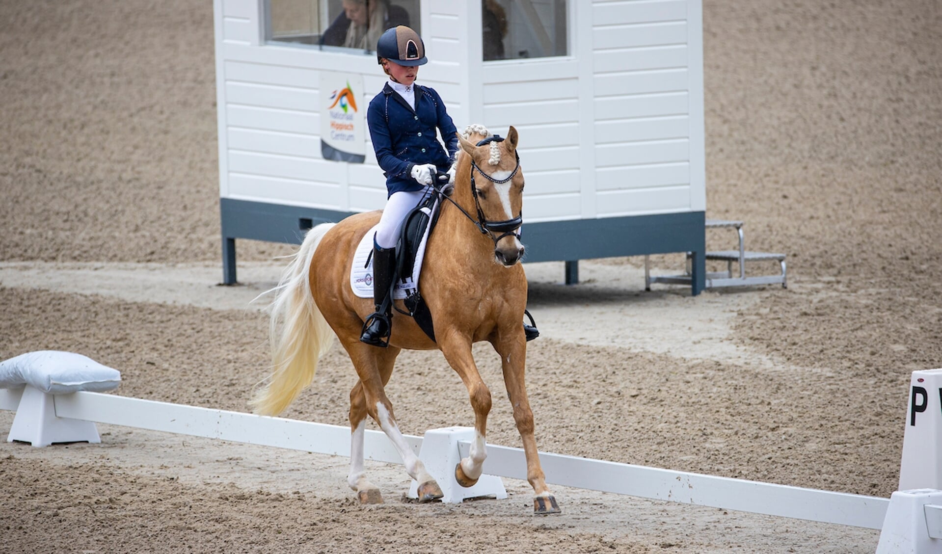 Bridget Lock - Don Davino Horsepoint
Observatiewedstrijd Ermelo 2021
© DigiShots