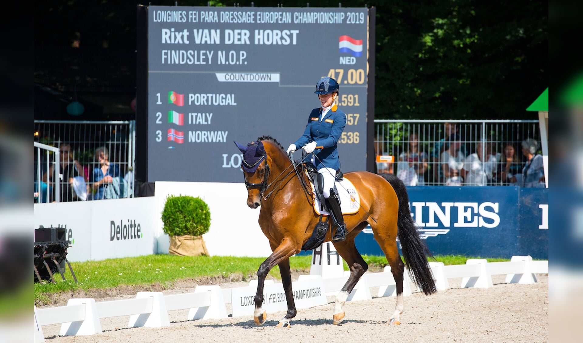 Rixt van der Horst - Findsley N.O.P.
FEI European Championships 2019
© DigiShots
