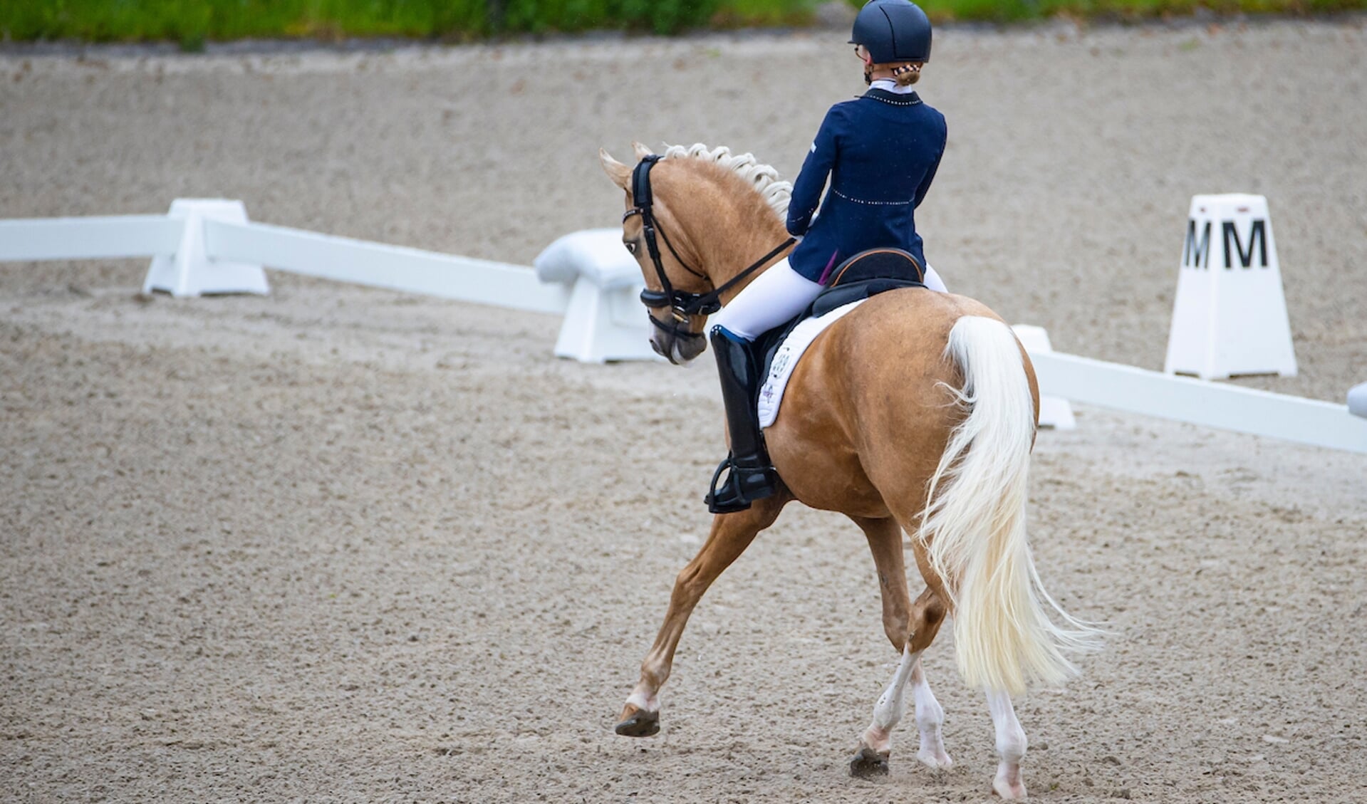 Bridget Lock - Don Davino Horsepoint
Observatiewedstrijd Ermelo 2021
© DigiShots