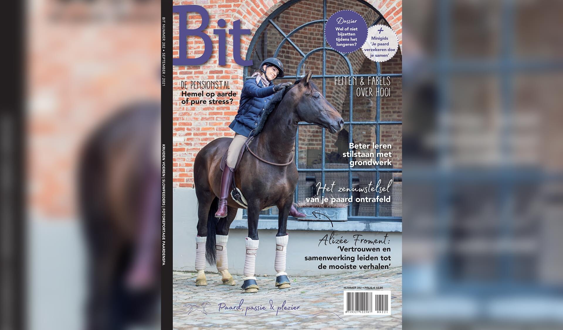 bit 2982 cover