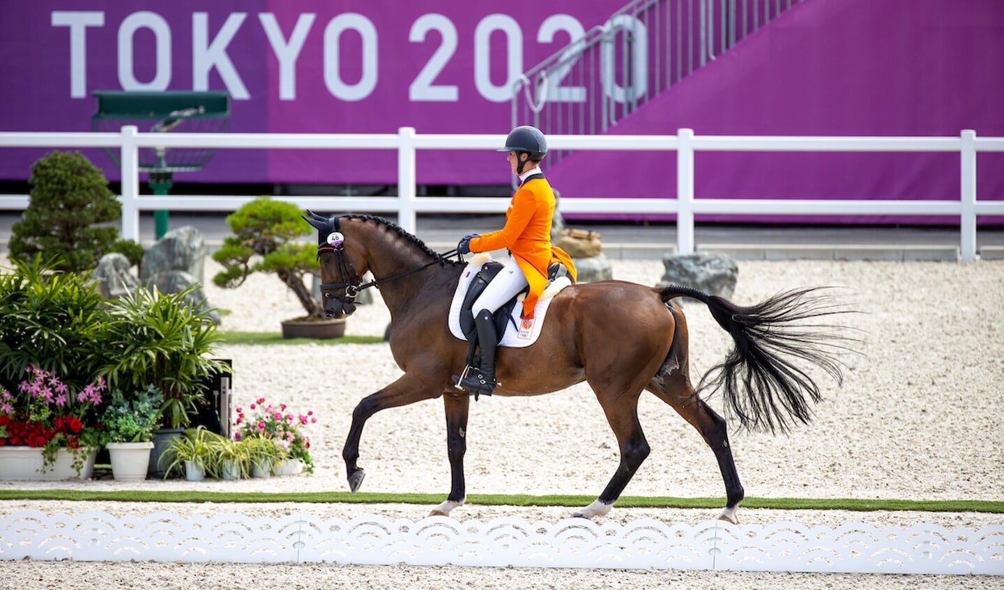 Blom Merel, NED, The Quizmaster, 251
Olympic Games Tokyo 2021
© Hippo Foto - Dirk Caremans
31/07/2021