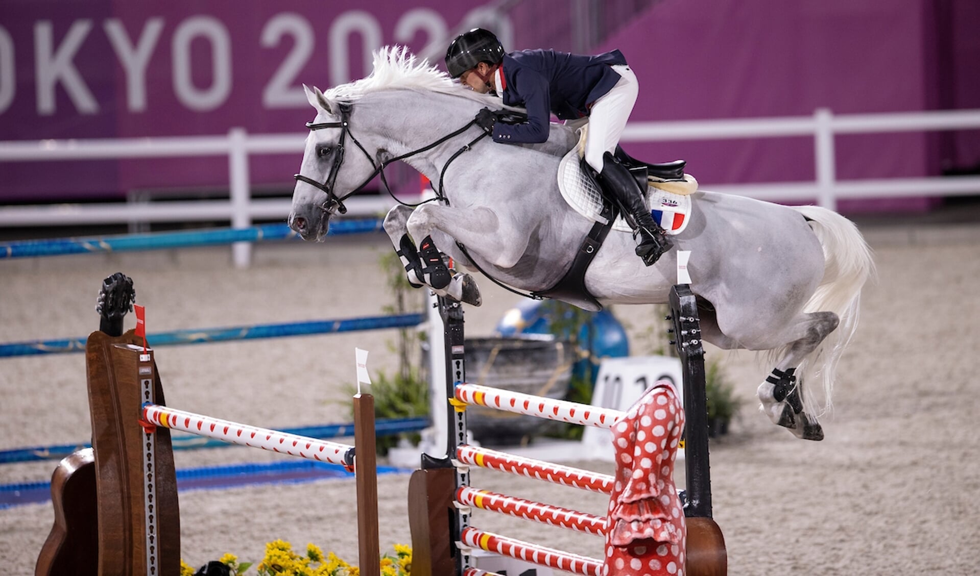 Simon Delestres Olympiadepaard Berlux Z verkocht Het onafhankelijke