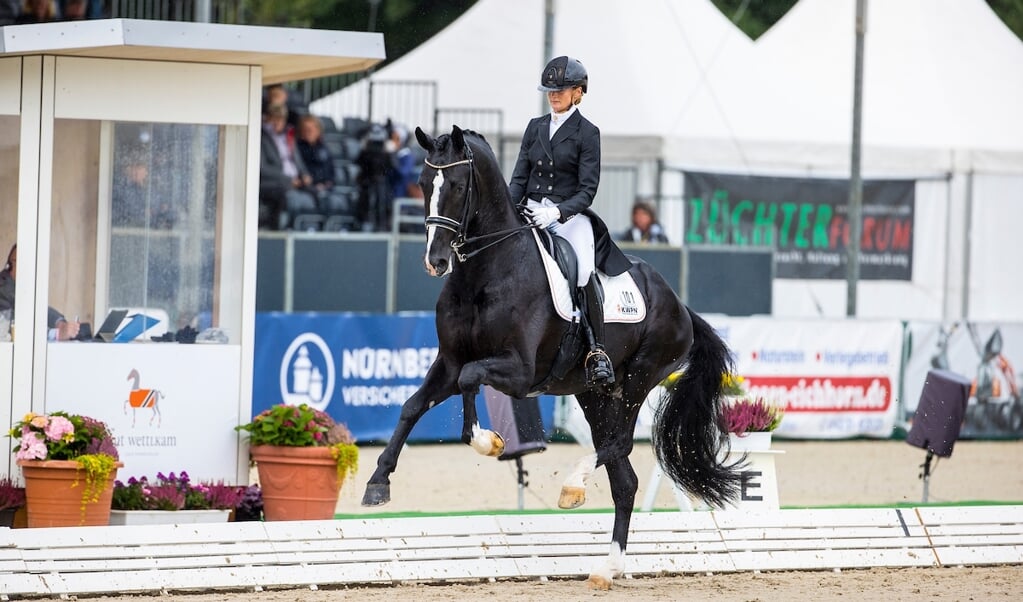 Marieke van der Putten - Jameson RS2
FEI World Breeding Dressage Championships for Young Horses 2021
© DigiShots