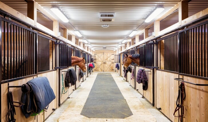 Contemporary horse stalls in horse riding school. Saveral horses are peeking through their windows.