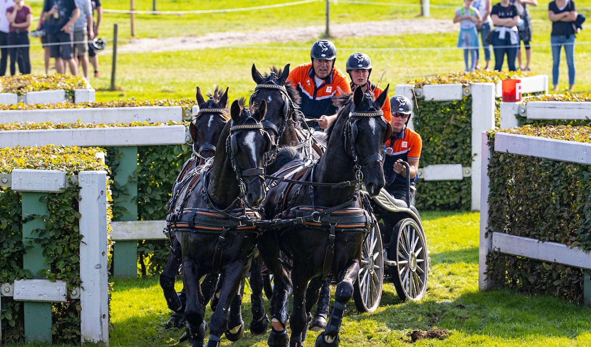 IJsbrand Chardon
World Equestrian Festival CHIO Aachen 2021
© DigiShots
