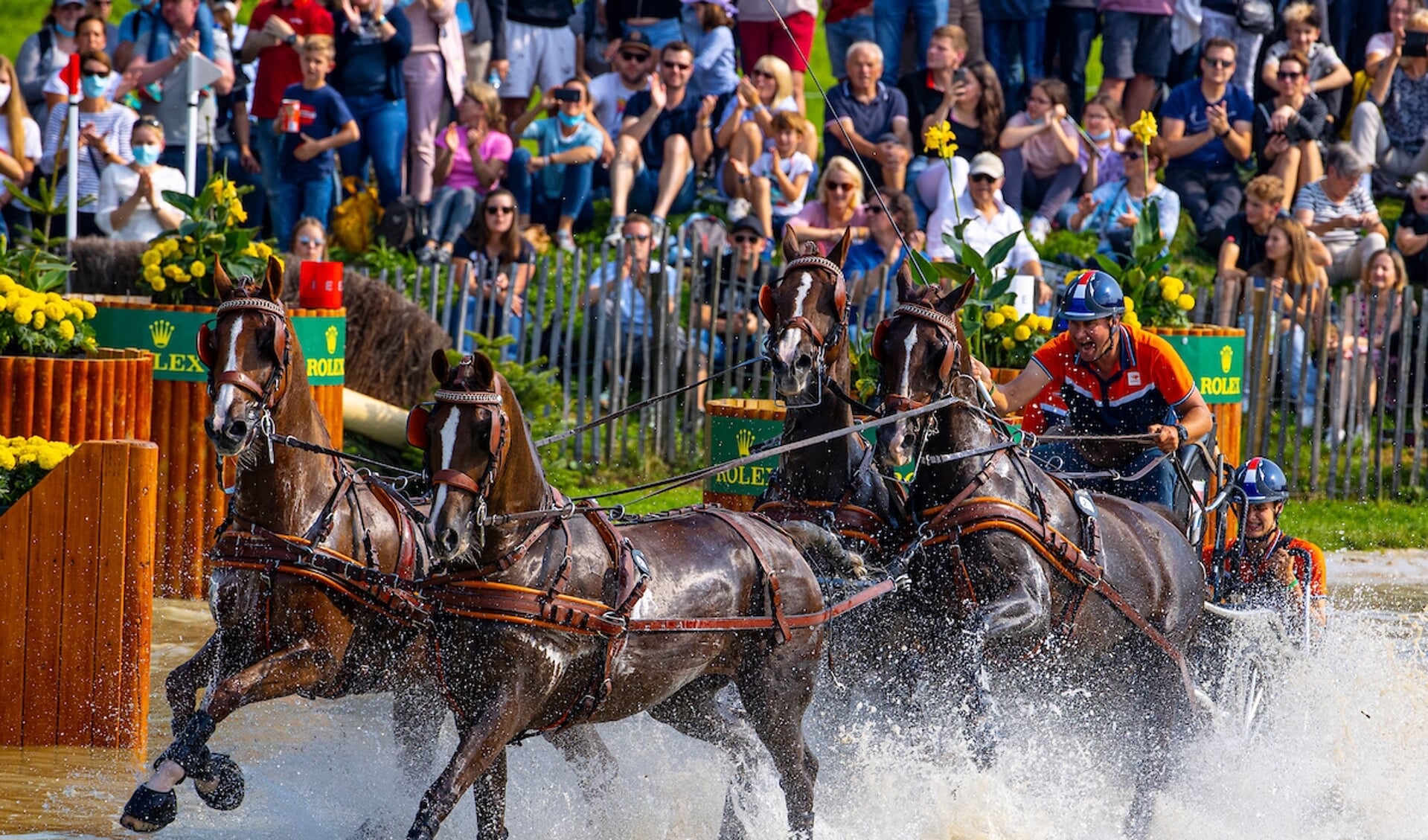 Koos de Ronde
World Equestrian Festival CHIO Aachen 2021
© DigiShots