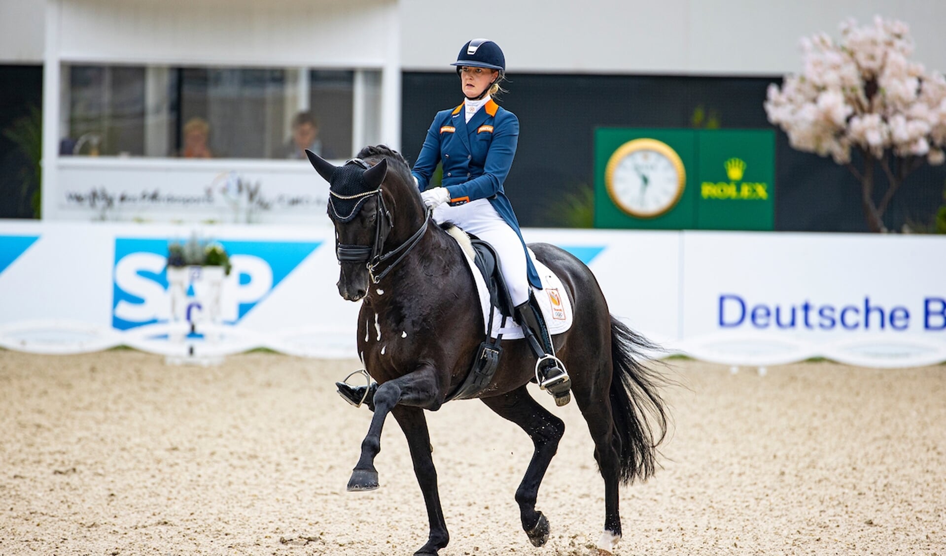Denise Nekeman - Boston STH
World Equestrian Festival CHIO Aachen 2021
© DigiShots