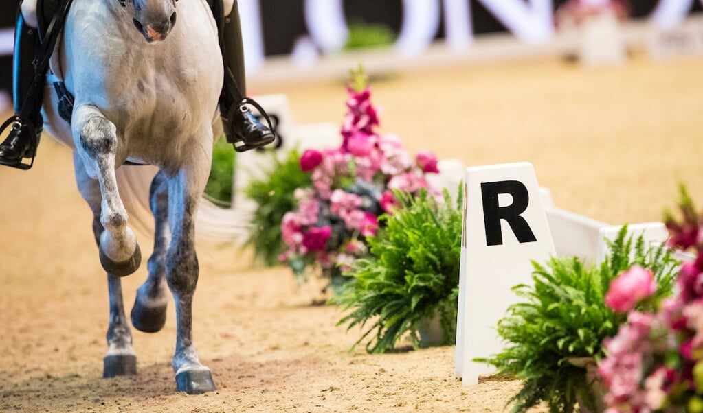 Paardenbenen
Olympia Horse Show 2016
© DigiShots